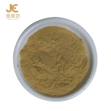 New Promotion 2020 Hot Chinese Plant Extract Zucchini Powder Cucurbita Pepo Powder